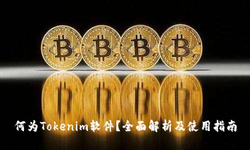 何为Tokenim软件？全面解析及使用指南