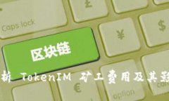 全面解析 TokenIM 矿工费用