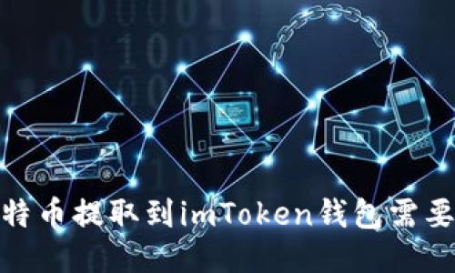 题目：比特币提取到imToken钱包需要哪些链？