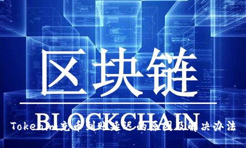 Tokenim充币到账延迟的原因及解决办法