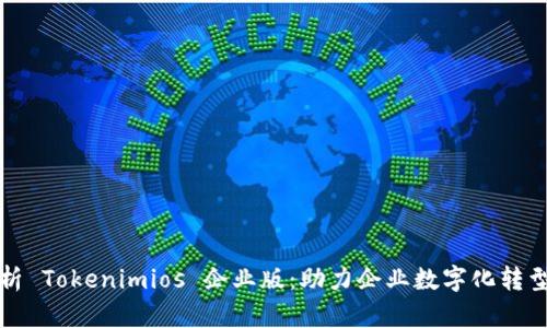 全面解析 Tokenimios 企业版：助力企业数字化转型的利器