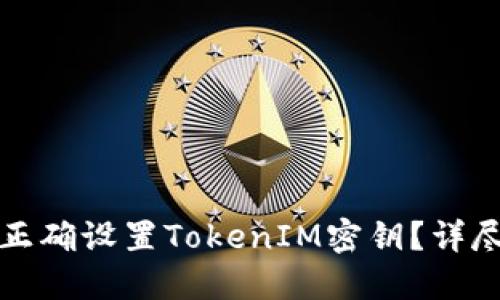 如何正确设置TokenIM密钥？详尽指南