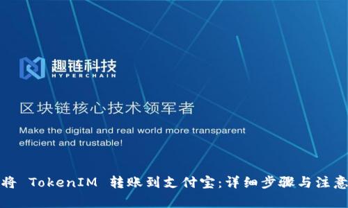 如何将 TokenIM 转账到支付宝：详细步骤与注意事项