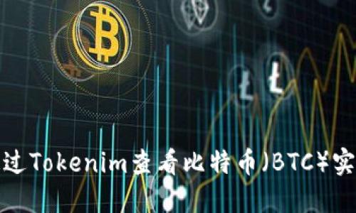 如何通过Tokenim查看比特币（BTC）实时数据