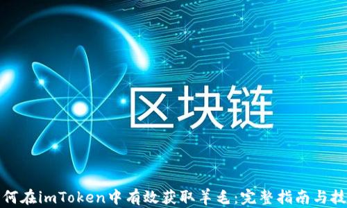 
如何在imToken中有效获取羊毛：完整指南与技巧