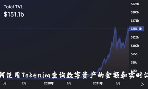 如何使用Tokenim查询数字资产的金额和实时汇率