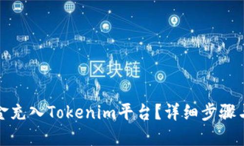 标题  
如何将现金充入Tokenim平台？详细步骤与注意事项