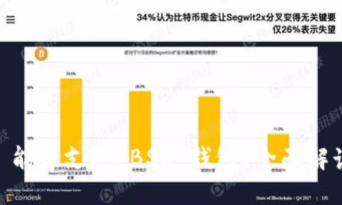 IM 2.0 能否支持 BSC 钱包？全面解读与指南