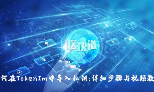 如何在TokenIm中导入私钥：详细步骤与视频教程