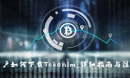 国内用户如何下载Tokenim：详细指南与注意事项