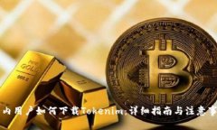 国内用户如何下载Tokenim：