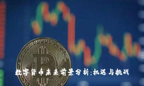 数字货币未来前景分析：机遇与挑战