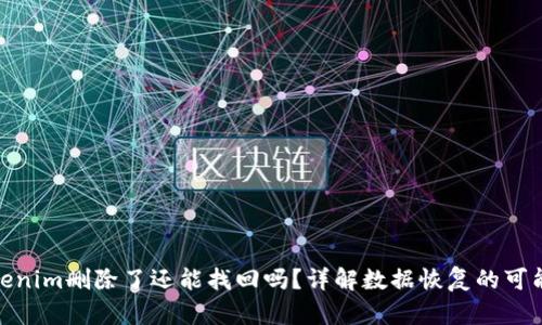 Tokenim删除了还能找回吗？详解数据恢复的可能性