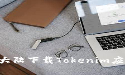 如何在中国大陆下载Tokenim应用：完整指南