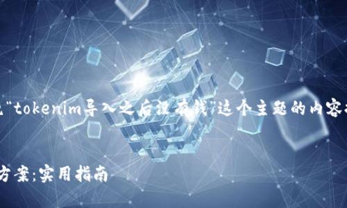 很高兴为您提供帮助。以下是围绕“tokenim导入之后没有钱”这个主题的内容提纲和一些相关问题的详细介绍。


Tokenim导入后没有资金的解决方案：实用指南