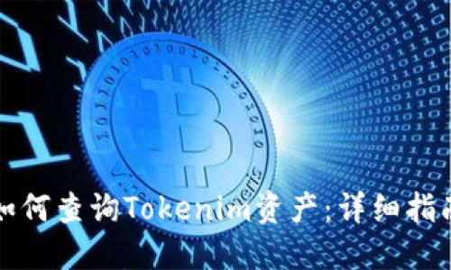 如何查询Tokenim资产：详细指南