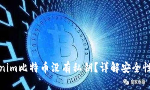 为什么Tokenim比特币没有私钥？详解安全性与用户体验