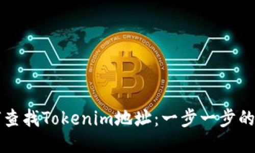 如何查找Tokenim地址：一步一步的指南