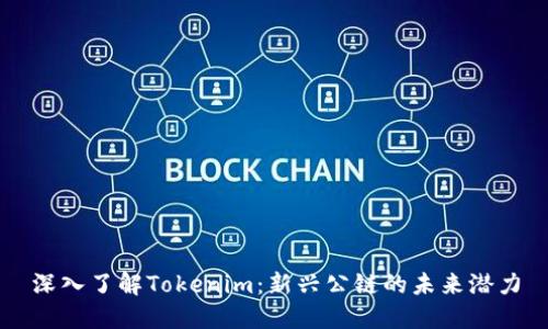 深入了解Tokenim：新兴公链的未来潜力