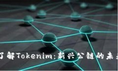 深入了解Tokenim：新兴公链的未来潜力