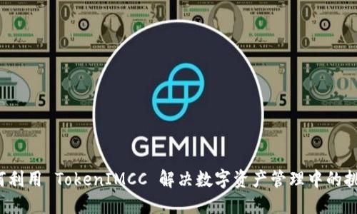 如何利用 TokenIMCC 解决数字资产管理中的挑战？